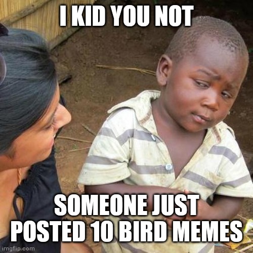 Third World Skeptical Kid | I KID YOU NOT; SOMEONE JUST POSTED 10 BIRD MEMES | image tagged in memes,third world skeptical kid | made w/ Imgflip meme maker