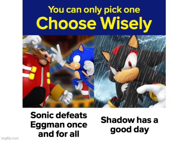 You can only choose one (By Sonic The Hedgehog on Tumblr) | image tagged in sonic the hedgehog,sonic | made w/ Imgflip meme maker