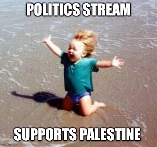 Celebration | POLITICS STREAM SUPPORTS PALESTINE | image tagged in celebration | made w/ Imgflip meme maker