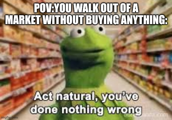 act natural, you've done nothing wrong | POV:YOU WALK OUT OF A MARKET WITHOUT BUYING ANYTHING: | image tagged in act natural you've done nothing wrong | made w/ Imgflip meme maker