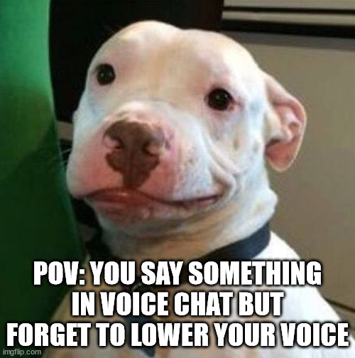 Awkward Dog | POV: YOU SAY SOMETHING IN VOICE CHAT BUT FORGET TO LOWER YOUR VOICE | image tagged in awkward dog | made w/ Imgflip meme maker