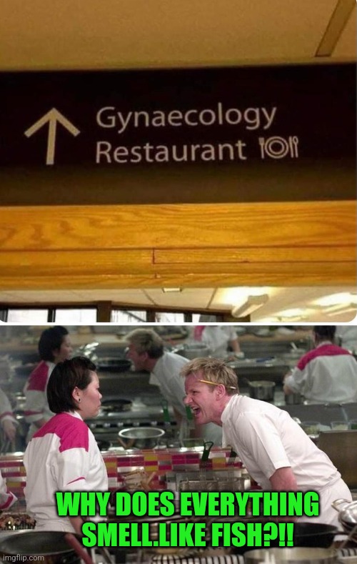They're taking these themed restaurants way too far... | WHY DOES EVERYTHING SMELL.LIKE FISH?!! | image tagged in gordon ramsey,gynecologist,restaurant,fishy,smell | made w/ Imgflip meme maker