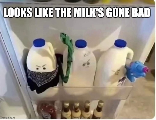 Cold milk | LOOKS LIKE THE MILK'S GONE BAD | image tagged in bad,milk,cold,bad pun,eyeroll | made w/ Imgflip meme maker