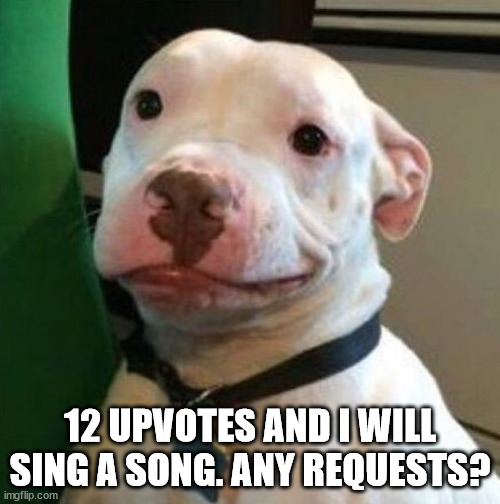 I have a song i will do if no one comments | 12 UPVOTES AND I WILL SING A SONG. ANY REQUESTS? | image tagged in awkward dog | made w/ Imgflip meme maker