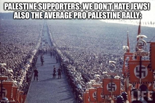 Nazi Rally | PALESTINE SUPPORTERS: WE DON’T HATE JEWS! 
ALSO THE AVERAGE PRO PALESTINE RALLY: | image tagged in nazi rally | made w/ Imgflip meme maker