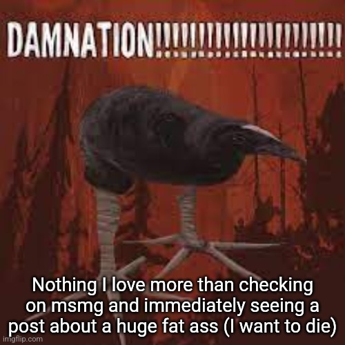 Damn Bird | Nothing I love more than checking on msmg and immediately seeing a post about a huge fat ass (I want to die) | image tagged in damn bird | made w/ Imgflip meme maker