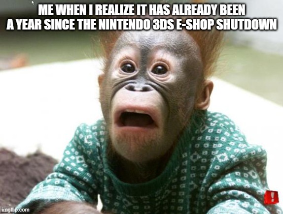 surprized monkey | ME WHEN I REALIZE IT HAS ALREADY BEEN A YEAR SINCE THE NINTENDO 3DS E-SHOP SHUTDOWN | image tagged in surprized monkey | made w/ Imgflip meme maker