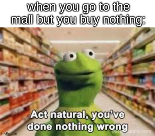 act natural, you've done nothing wrong | when you go to the mall but you buy nothing: | image tagged in act natural you've done nothing wrong | made w/ Imgflip meme maker