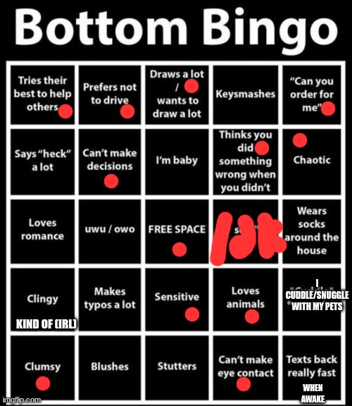 Bottom Bingo | I CUDDLE/SNUGGLE WITH MY PETS; KIND OF (IRL); WHEN AWAKE | image tagged in bottom bingo | made w/ Imgflip meme maker