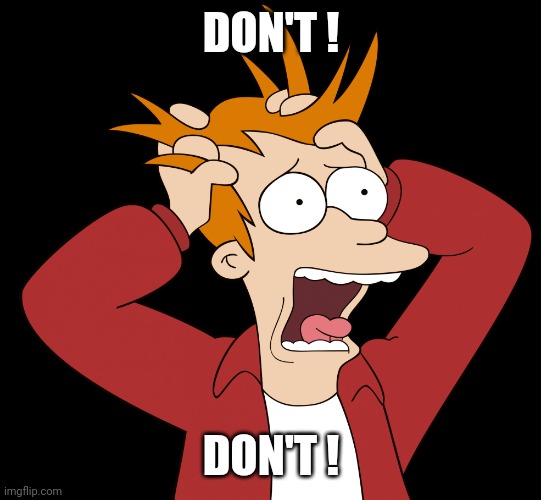 Futurama Fry Screaming | DON'T ! DON'T ! | image tagged in futurama fry screaming | made w/ Imgflip meme maker