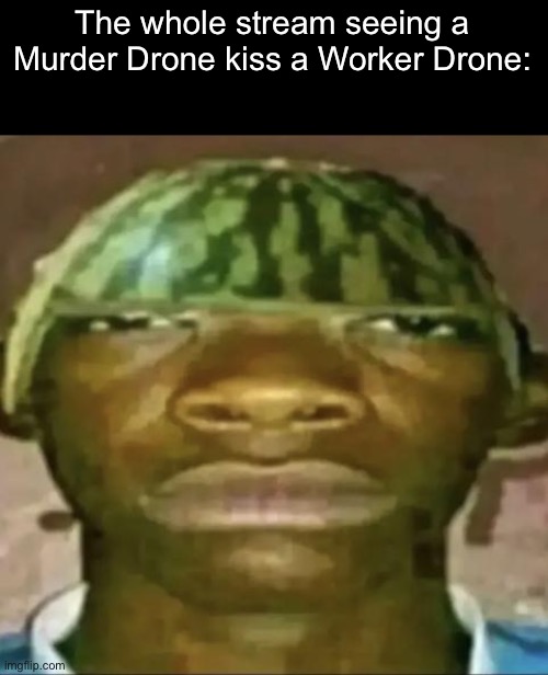 black guy with water melon head | The whole stream seeing a Murder Drone kiss a Worker Drone: | image tagged in black guy with water melon head | made w/ Imgflip meme maker