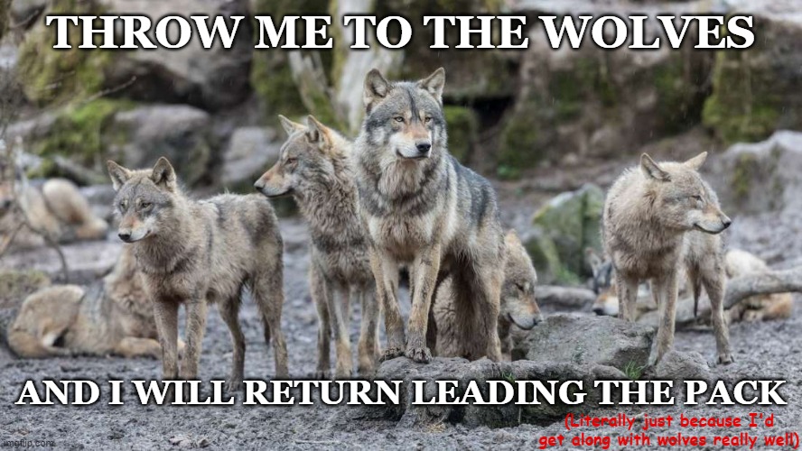 Goodnight chat | THROW ME TO THE WOLVES; AND I WILL RETURN LEADING THE PACK; (Literally just because I'd get along with wolves really well) | image tagged in wolves | made w/ Imgflip meme maker