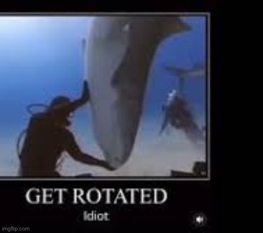 UPTURN THE FISH | image tagged in get rotated idiot | made w/ Imgflip meme maker