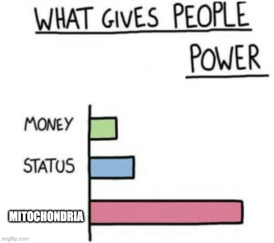 MITOCHONDRIA IS THE POWERHOUSE OF THE CELL | MITOCHONDRIA | image tagged in science | made w/ Imgflip meme maker