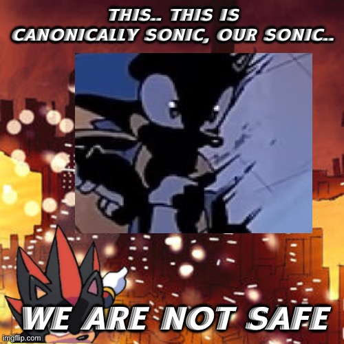 We are not safe | THIS.. THIS IS CANONICALLY SONIC, OUR SONIC.. WE ARE NOT SAFE | image tagged in shadow points,sonic idw,sonic the hedgehog,shadow the hedgehog,scary,comics | made w/ Imgflip meme maker