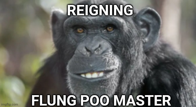 The Champ | REIGNING; FLUNG POO MASTER | image tagged in self defense | made w/ Imgflip meme maker
