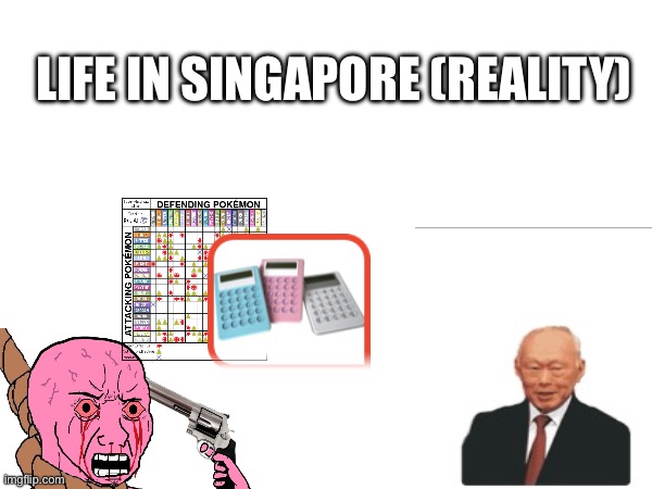 Life in singapore | LIFE IN SINGAPORE (REALITY) | image tagged in singapore,education | made w/ Imgflip meme maker