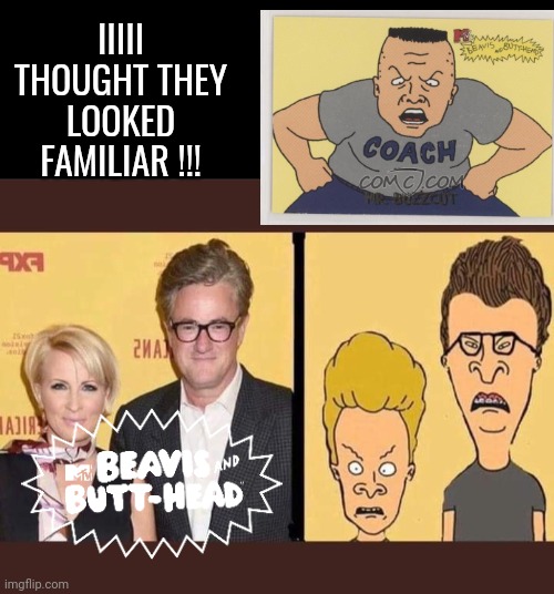 Beavis and Butthead are Morning Joe | IIIII THOUGHT THEY LOOKED FAMILIAR !!! | image tagged in black box,coach,beavis  butthead,morning wood | made w/ Imgflip meme maker