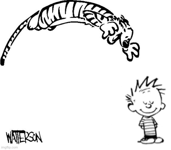 CALVIN HE’S BEHIND YOU!!!  HOBBES IS ABOUT TO POUNCE ON YOU!!!  CALVIN NOOOOOOOOO!!!!!!! | made w/ Imgflip meme maker