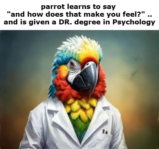 parrot learns to say 
"and how does that make you feel?" .. and is given a DR. degree in Psychology | image tagged in doktr | made w/ Imgflip meme maker