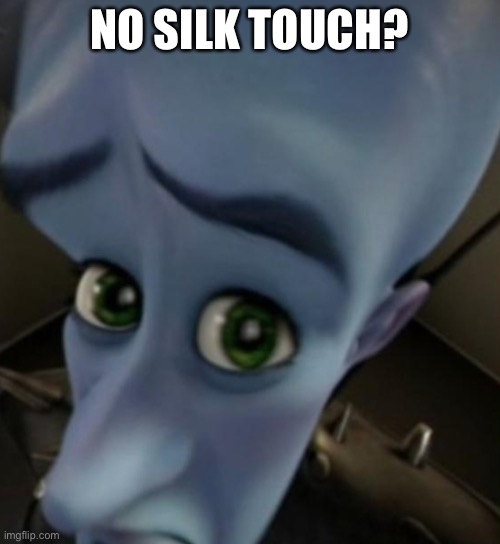 Megamind no bitches | NO SILK TOUCH? | image tagged in megamind no bitches | made w/ Imgflip meme maker