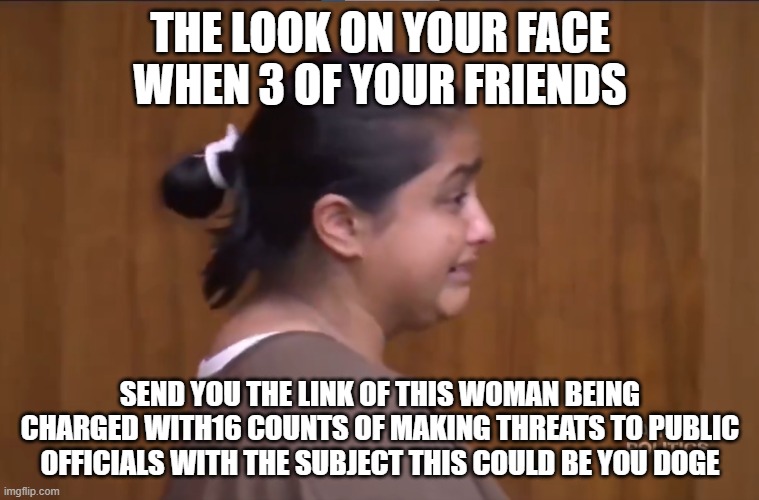This could be you | THE LOOK ON YOUR FACE WHEN 3 OF YOUR FRIENDS; SEND YOU THE LINK OF THIS WOMAN BEING CHARGED WITH16 COUNTS OF MAKING THREATS TO PUBLIC OFFICIALS WITH THE SUBJECT THIS COULD BE YOU DOGE | image tagged in politicians,politicians suck,threat,threats,political meme,political humor | made w/ Imgflip meme maker