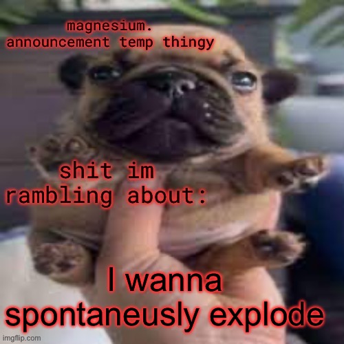 pug temp | I wanna spontaneously explode | image tagged in pug temp | made w/ Imgflip meme maker