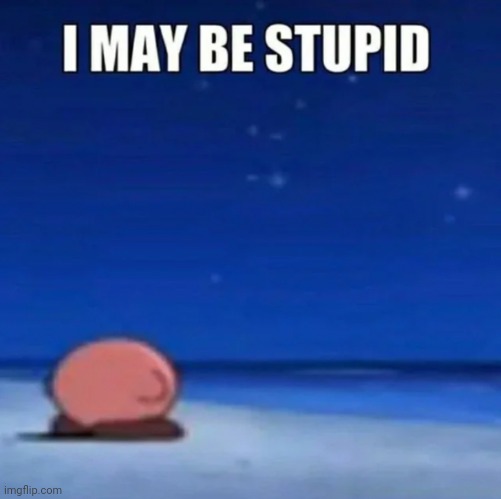 i may be stupid | image tagged in i may be stupid | made w/ Imgflip meme maker