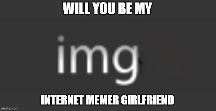 IMG FLIP | WILL YOU BE MY INTERNET MEMER GIRLFRIEND | image tagged in internet,imgflip,memer,girlfriend,meme partner,marriage equality | made w/ Imgflip meme maker