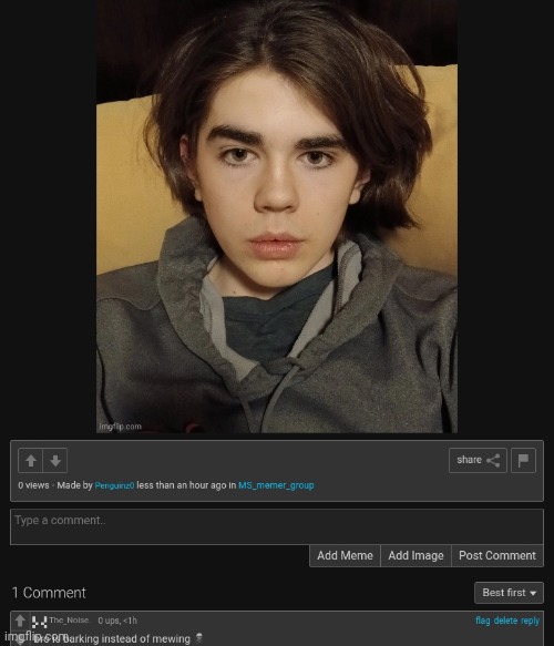 made w/ Imgflip meme maker