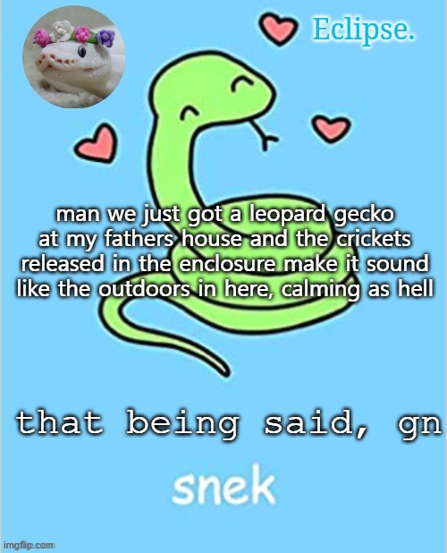 . | man we just got a leopard gecko at my fathers house and the crickets released in the enclosure make it sound like the outdoors in here, calming as hell; that being said, gn | image tagged in h | made w/ Imgflip meme maker