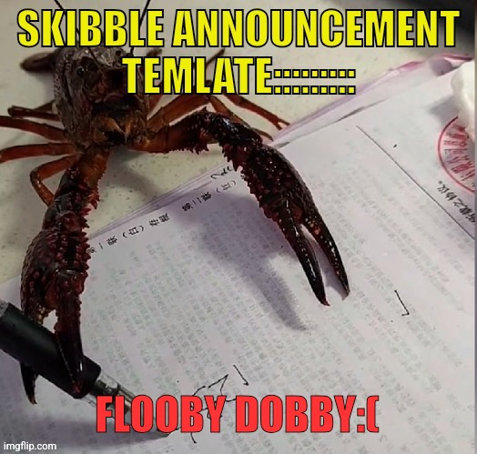 Skibbles announcement template v2 | FLOOBY DOBBY:( | image tagged in skibbles announcement template v2 | made w/ Imgflip meme maker