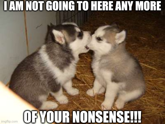 Cute Puppies | I AM NOT GOING TO HERE ANY MORE; OF YOUR NONSENSE!!! | image tagged in memes,cute puppies | made w/ Imgflip meme maker
