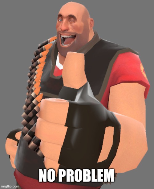 Heavy thumbs up | NO PROBLEM | image tagged in heavy thumbs up | made w/ Imgflip meme maker