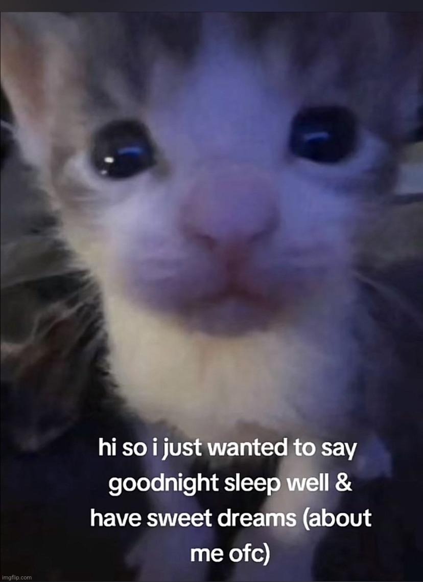 gn chat | made w/ Imgflip meme maker