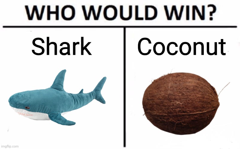 Who Would Win? | Shark; Coconut | image tagged in memes,who would win,shark,versus,coconut | made w/ Imgflip meme maker