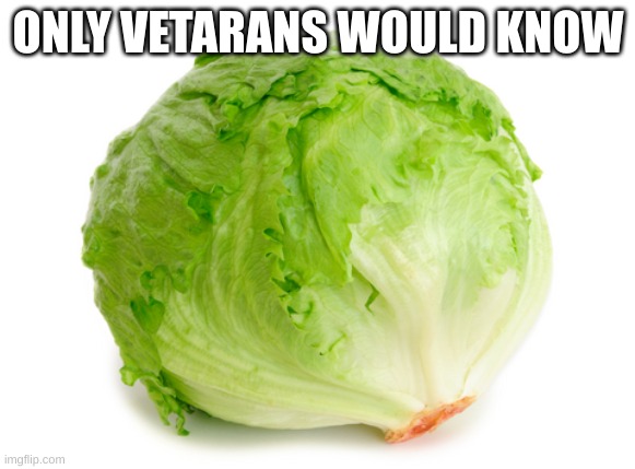 those dark times... | ONLY VETARANS WOULD KNOW | image tagged in lettuce | made w/ Imgflip meme maker