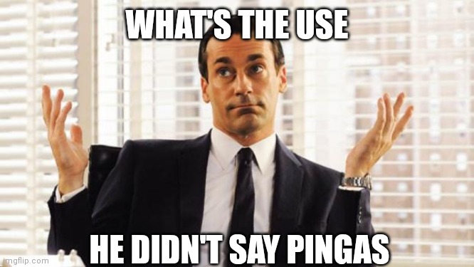 don draper | WHAT'S THE USE HE DIDN'T SAY PINGAS | image tagged in don draper | made w/ Imgflip meme maker