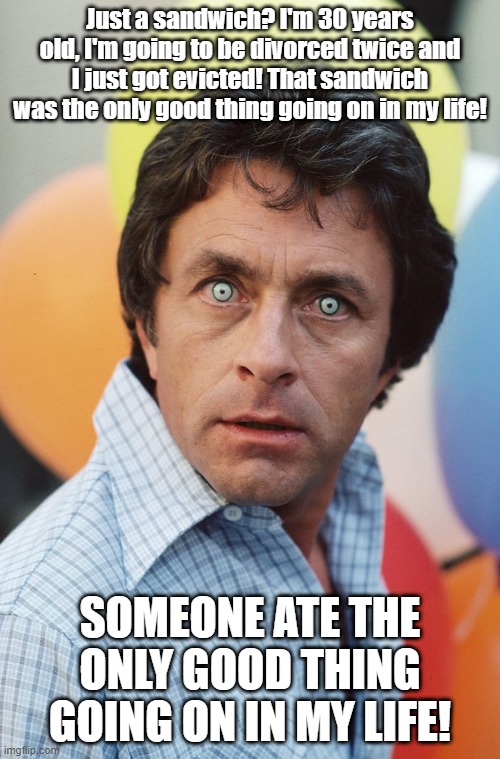 My sandwich | Just a sandwich? I'm 30 years old, I'm going to be divorced twice and I just got evicted! That sandwich was the only good thing going on in my life! SOMEONE ATE THE ONLY GOOD THING GOING ON IN MY LIFE! | image tagged in bruce banner getting mad | made w/ Imgflip meme maker