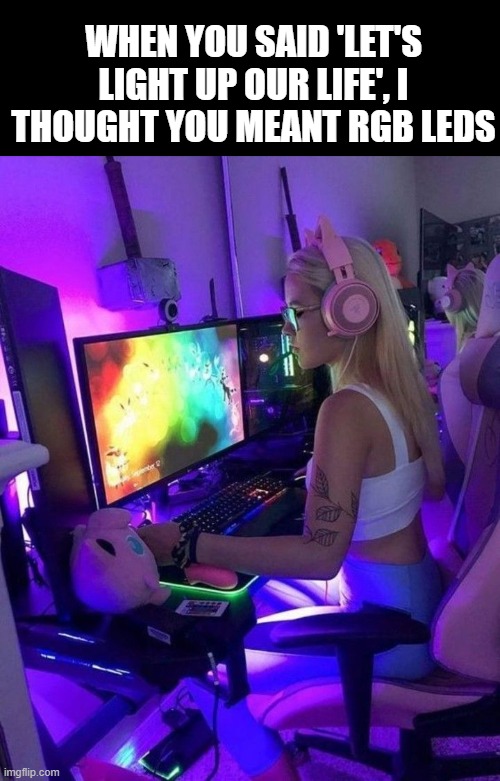 RGB & LEDs | WHEN YOU SAID 'LET'S LIGHT UP OUR LIFE', I THOUGHT YOU MEANT RGB LEDS | image tagged in gaming | made w/ Imgflip meme maker