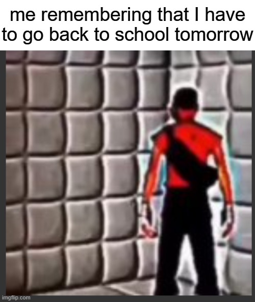 Scout goes insane | me remembering that I have to go back to school tomorrow | image tagged in scout goes insane | made w/ Imgflip meme maker