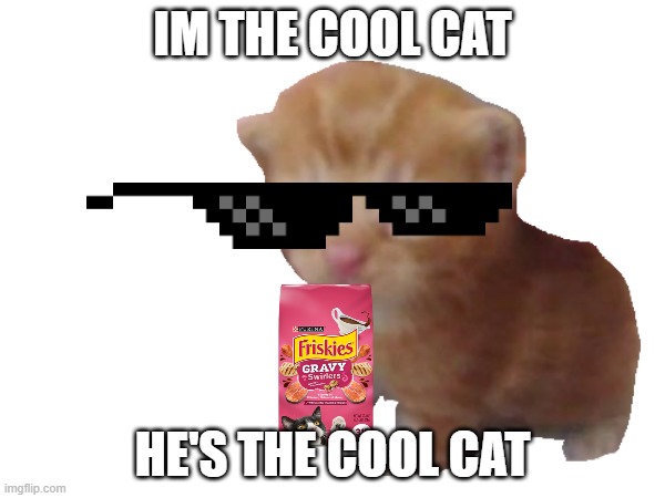 THE COOL CAT | IM THE COOL CAT; HE'S THE COOL CAT | image tagged in the cool cat,friskes,cat drip,lol,cool,cat | made w/ Imgflip meme maker