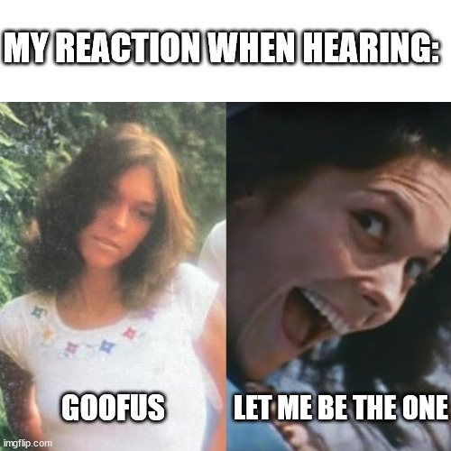 MY REACTION WHEN HEARING:; LET ME BE THE ONE; GOOFUS | made w/ Imgflip meme maker