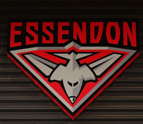 High Quality Essendon emblem Blank Meme Template