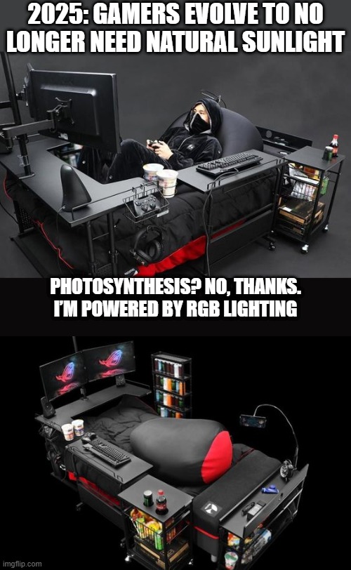 beautiful gaming setup | 2025: GAMERS EVOLVE TO NO LONGER NEED NATURAL SUNLIGHT; PHOTOSYNTHESIS? NO, THANKS. I’M POWERED BY RGB LIGHTING | image tagged in gaming | made w/ Imgflip meme maker