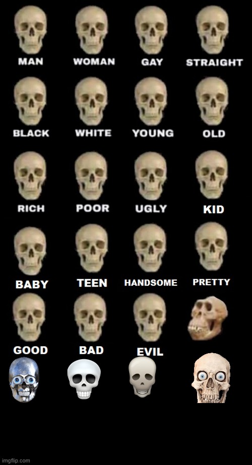 High Quality IDIOT SKULL EXTENDED 2 Blank Meme Template
