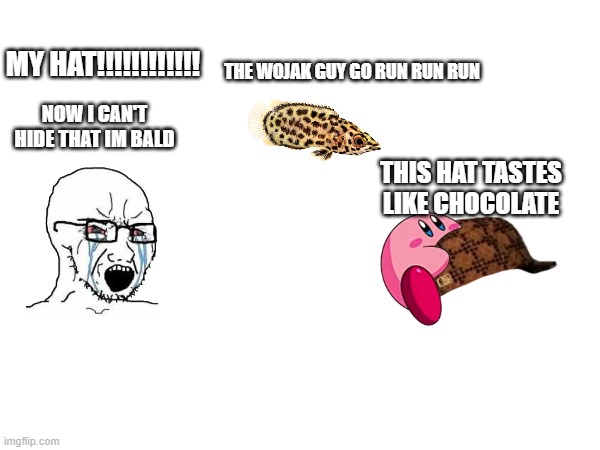 i was bored so i made a hat robbery | MY HAT!!!!!!!!!!!! THE WOJAK GUY GO RUN RUN RUN; NOW I CAN'T HIDE THAT IM BALD; THIS HAT TASTES LIKE CHOCOLATE | image tagged in crying wojak,meme,kirby,eat,hat,steal | made w/ Imgflip meme maker