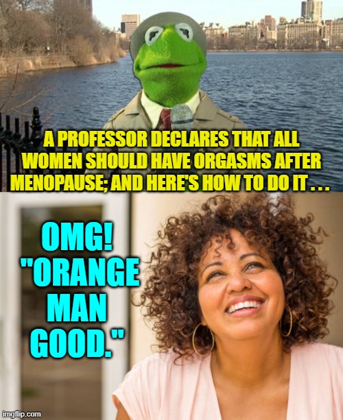 Sorry about this . . . I just could not resist. | OMG!  "ORANGE MAN GOOD."; A PROFESSOR DECLARES THAT ALL WOMEN SHOULD HAVE ORGASMS AFTER MENOPAUSE; AND HERE'S HOW TO DO IT . . . | image tagged in kermit news report | made w/ Imgflip meme maker