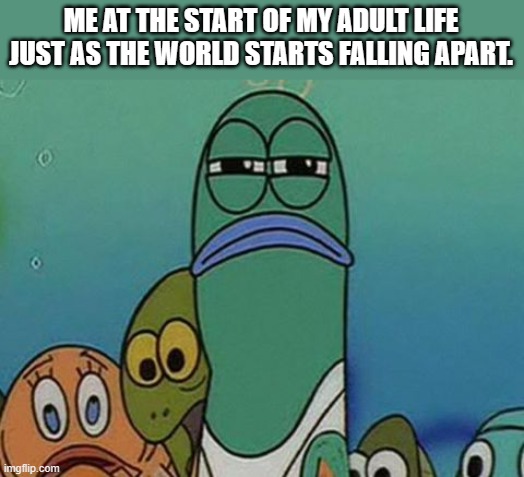 getting really tired of your x | ME AT THE START OF MY ADULT LIFE JUST AS THE WORLD STARTS FALLING APART. | image tagged in getting really tired of your x | made w/ Imgflip meme maker