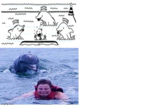 unscary dolphin vs scary dolphin Blank Meme Template